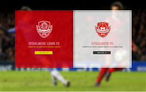 Web Design par the-lion-king pour ce projet | Design : #3328784