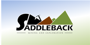 Logo Design by Vexus Graphics