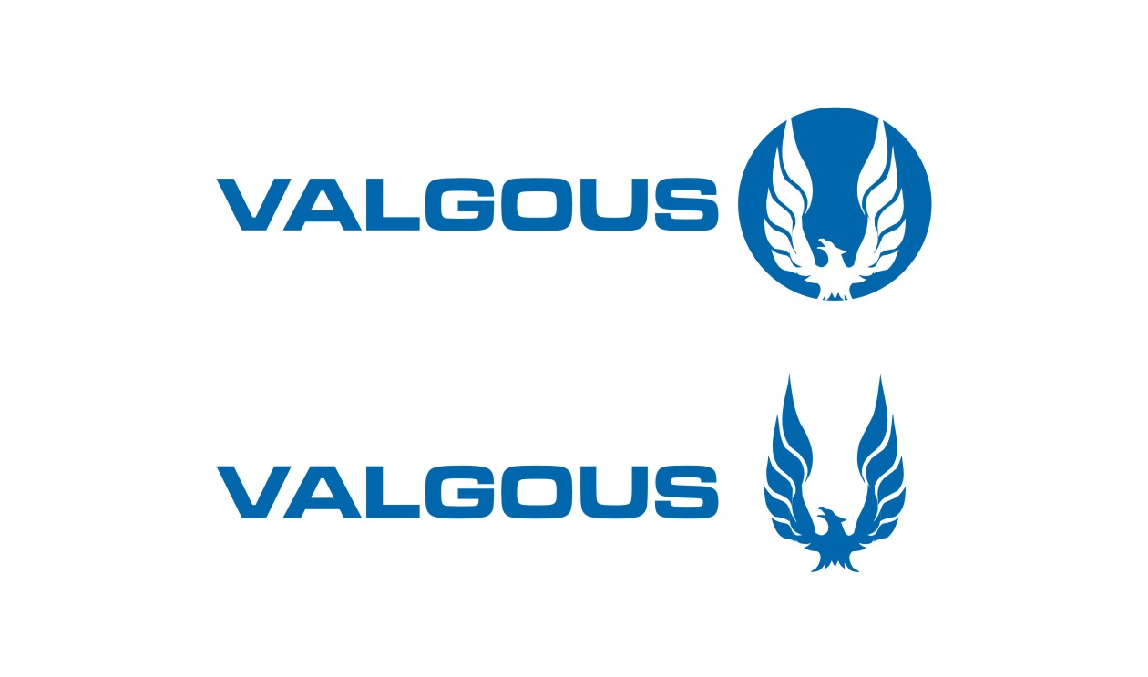 Logo Design by lrbalaji for this project | Design #822037