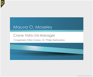 Business Card Design by poisonvectors
