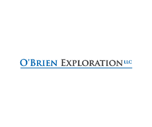 Logo Design by niko for this project | Design: #3312404