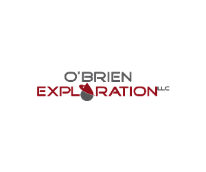 Logo Design by niko for this project | Design: #3312447