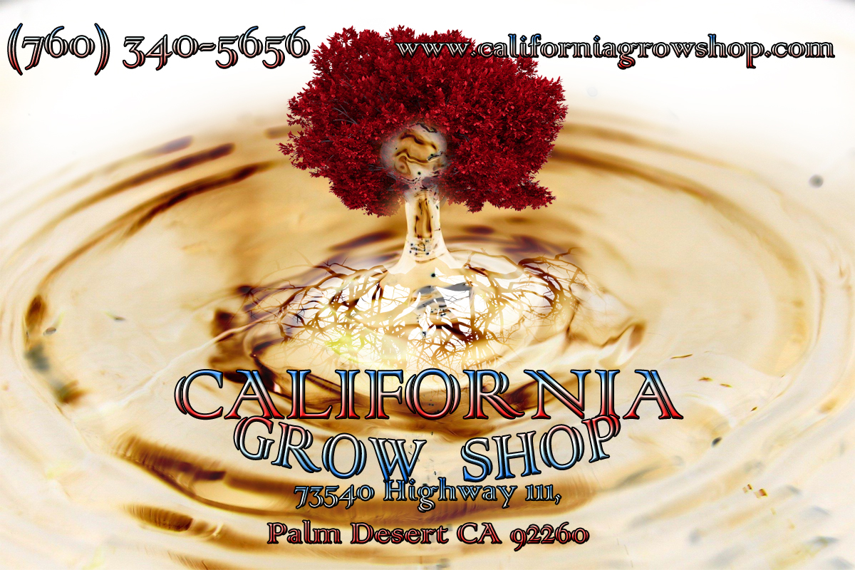 Schilder-Design von The Lex für Signarama | Design #3377735