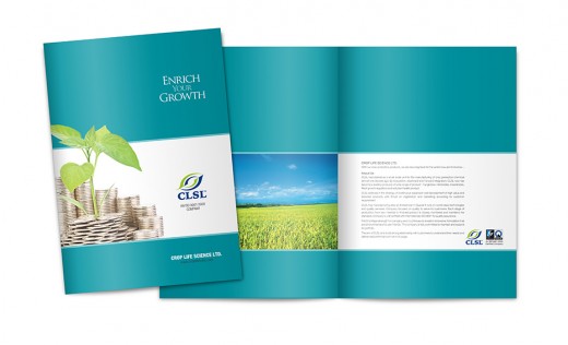 Diseño de Brochure por tina_tina2014 para Breakout Media | Diseño #3321890