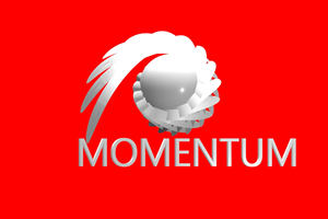 Logo Design by nsa51southwest for Bakkevig Consulting | Design #3335556