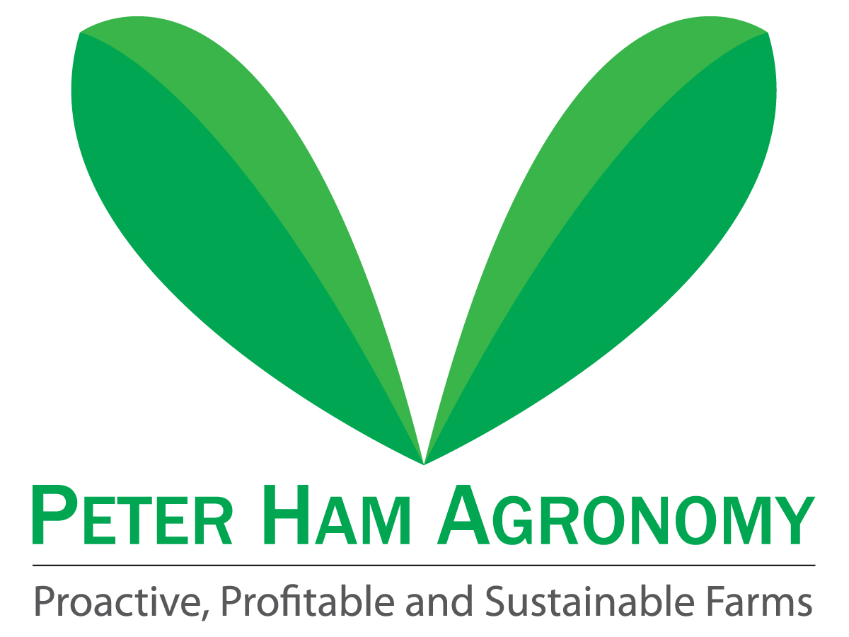 Logo-Design von LachysLogos für dieses Projekt | Design #3337192