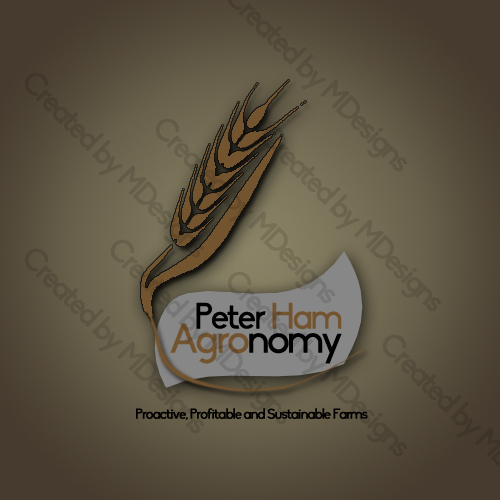 Design de Logo par MDesigns pour ce projet | Design #3340828