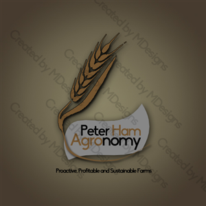 Logo Design by MDesigns