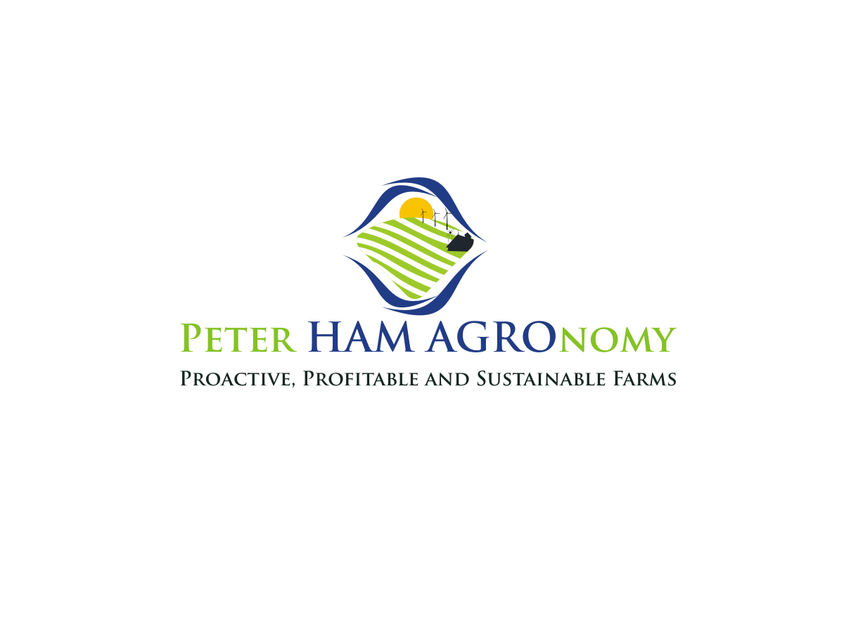 Logo Design by Blueberry for this project | Design #3341718