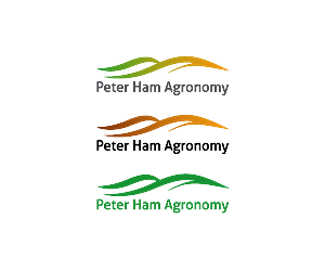 Logo Design by JR design