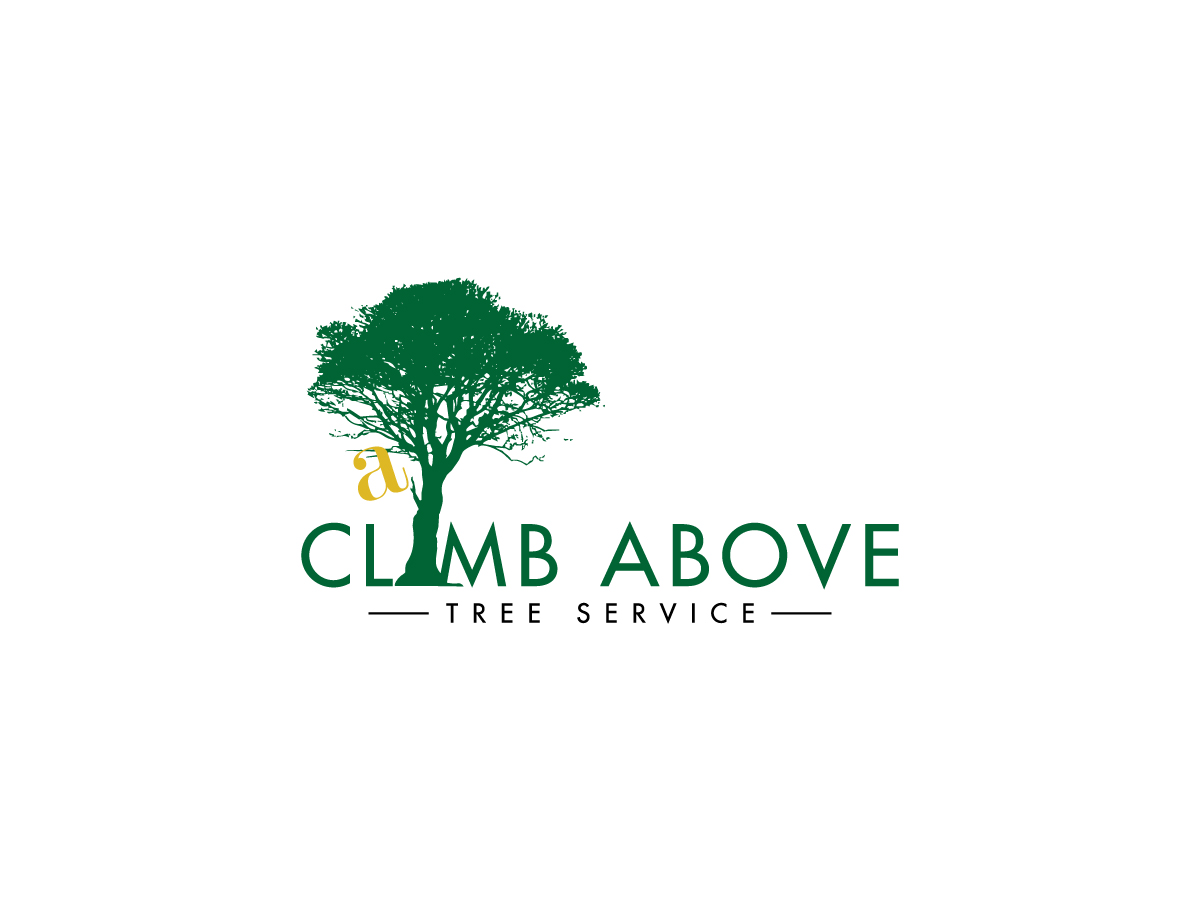 30 Serious Masculine Business Service Logo Designs for A Climb Above