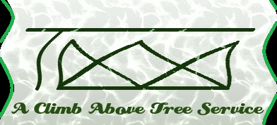 Logo Design by kavalu for A Climb Above Tree Service | Design #3326222