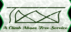 Logo Design by kavalu for A Climb Above Tree Service | Design #3326222