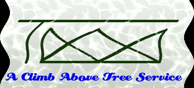 Logo-Design von kavalu für A Climb Above Tree Service | Design #3326292