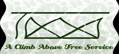 Logo Design by kavalu for A Climb Above Tree Service | Design #3326312