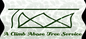 Logo Design by kavalu for A Climb Above Tree Service | Design: #3326312