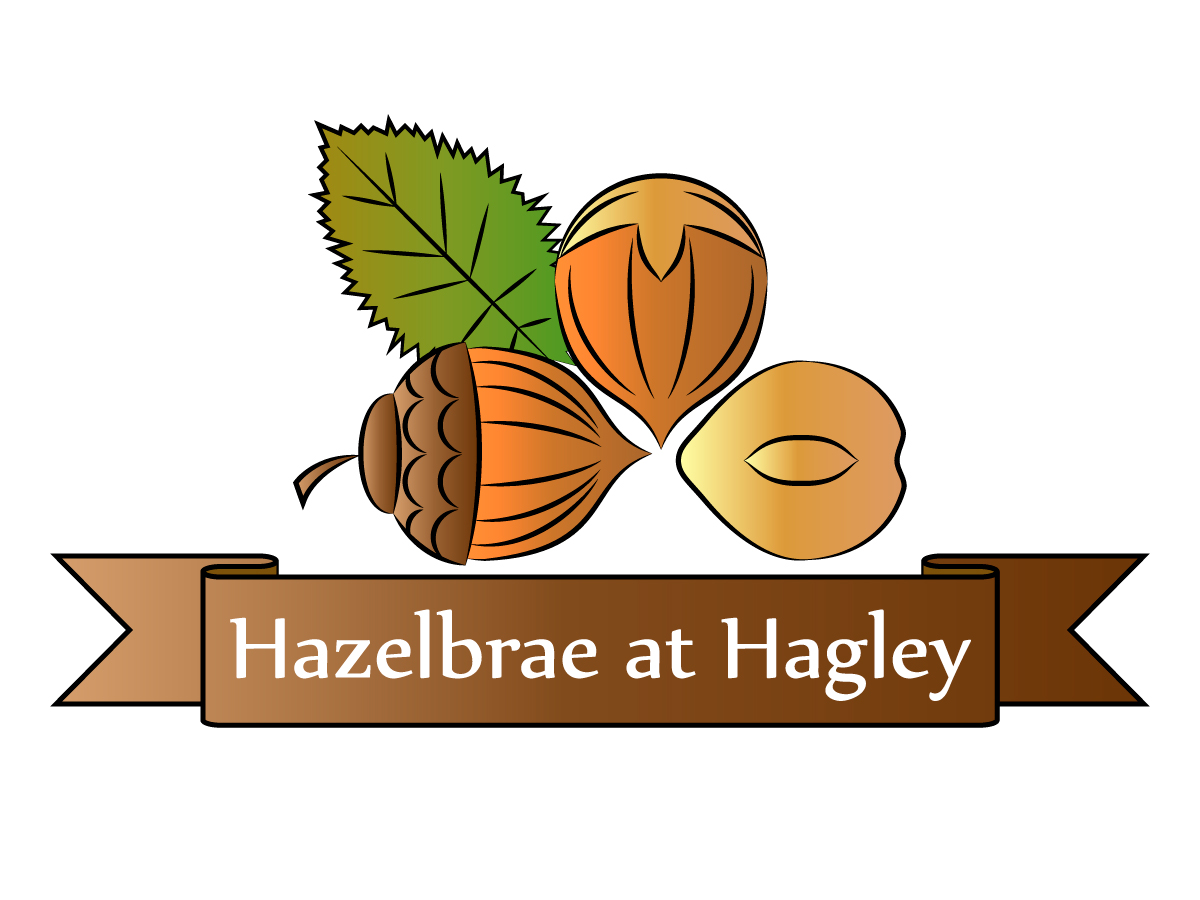 Logo Design by Iktan Betankourt for this project | Design #3354244