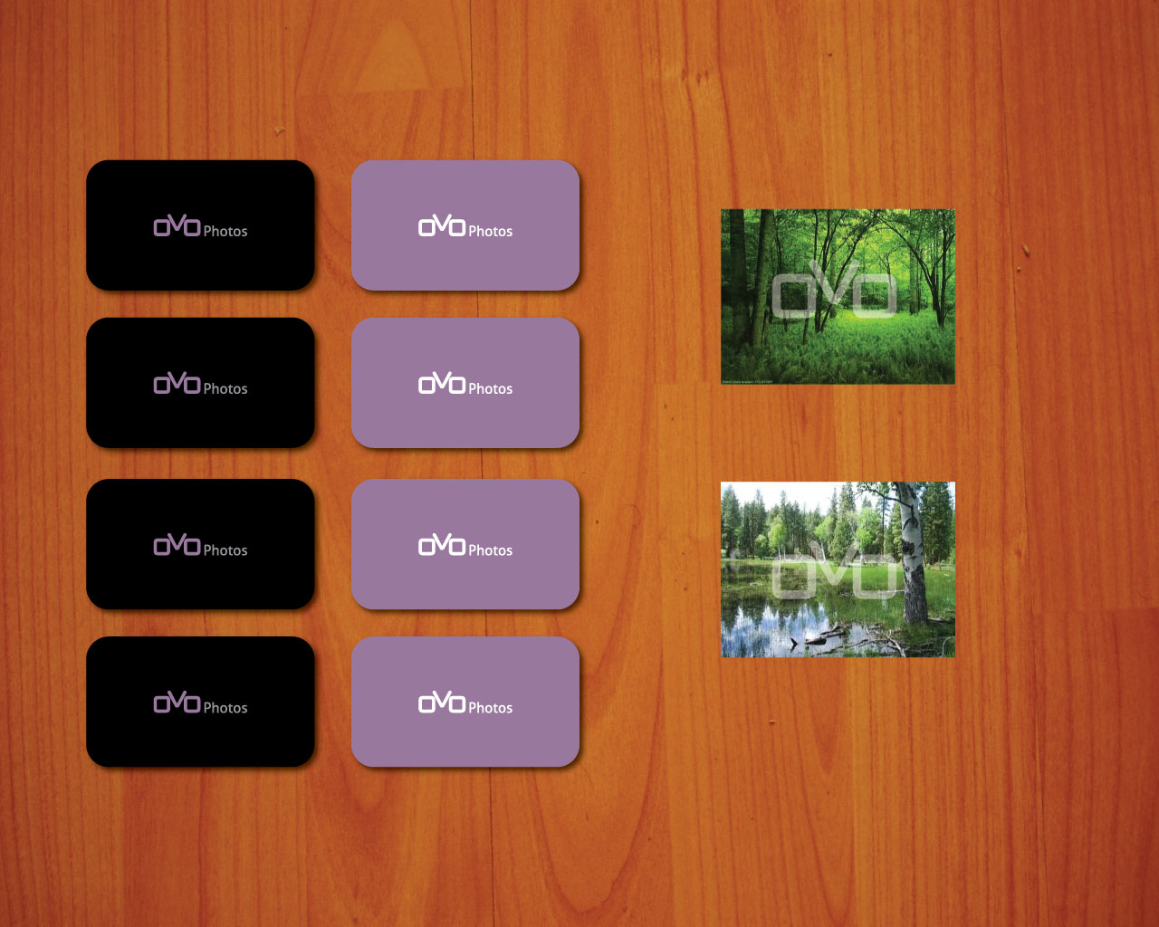 Logo Design by HLGCreativeTeam for this project | Design #844777