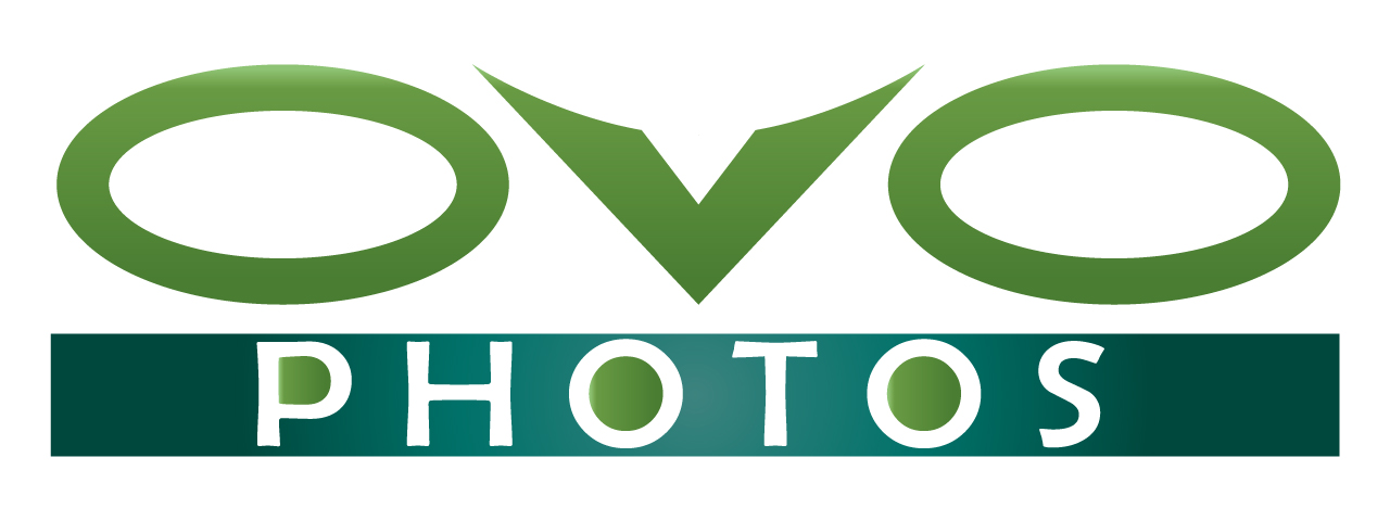 Logo Design by alexfizeau for this project | Design #830115