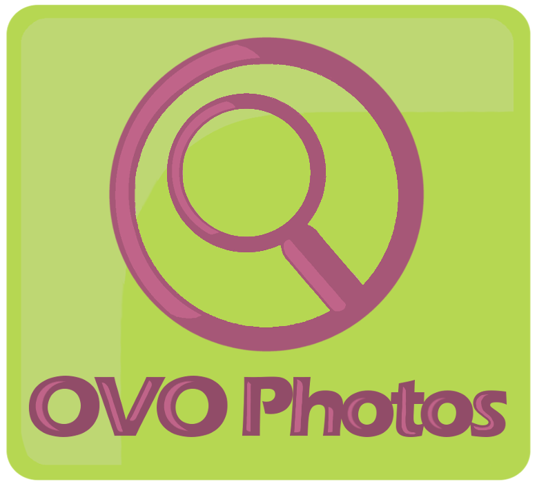 Logo Design by daniel-m-13 for this project | Design #834693