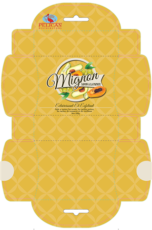 Packaging Design by Caroloh