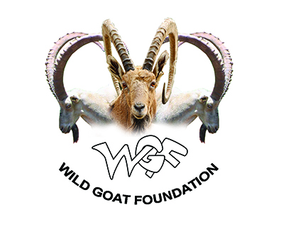 Logo-Design von M79 für Wild Goat Foundation | Design #3330567