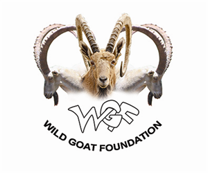 Design de Logo par M79 pour Wild Goat Foundation | Design : #3330567