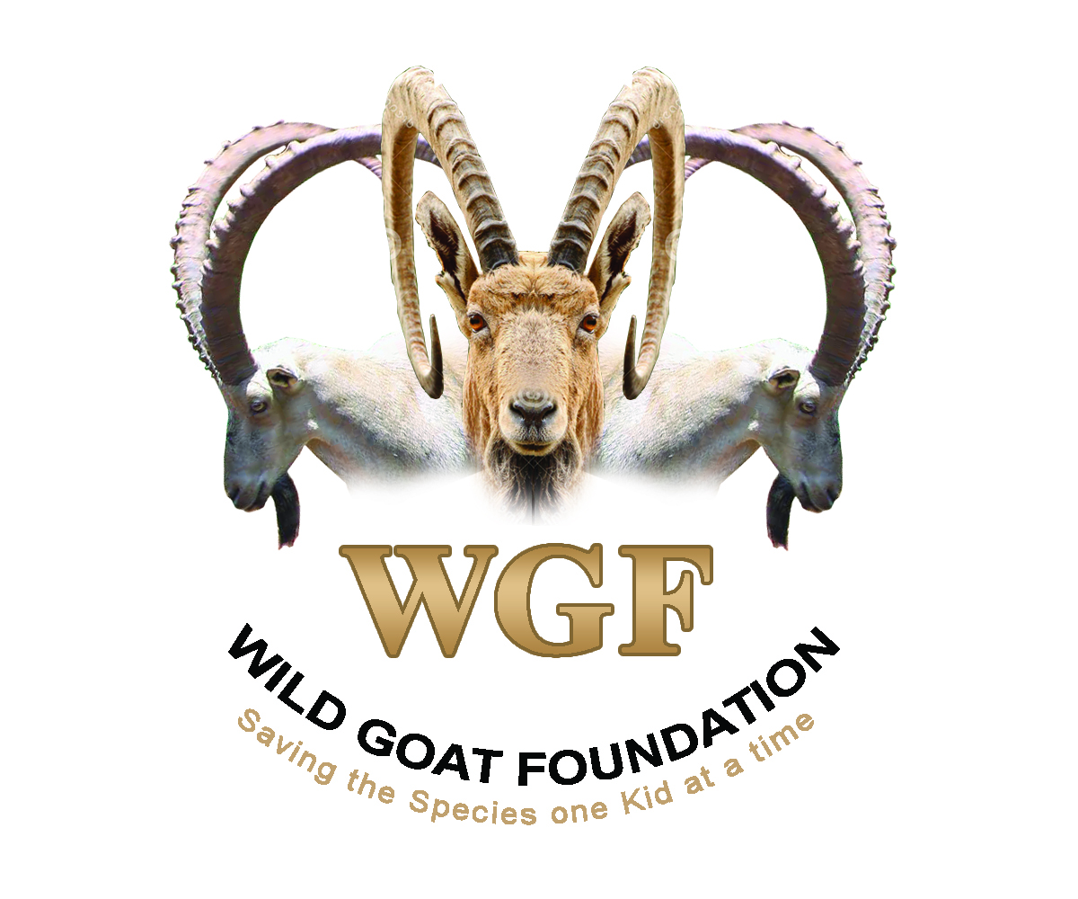 Logo-Design von M79 für Wild Goat Foundation | Design #3337045
