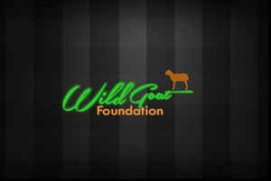 Logo Design by nipunasadeepa