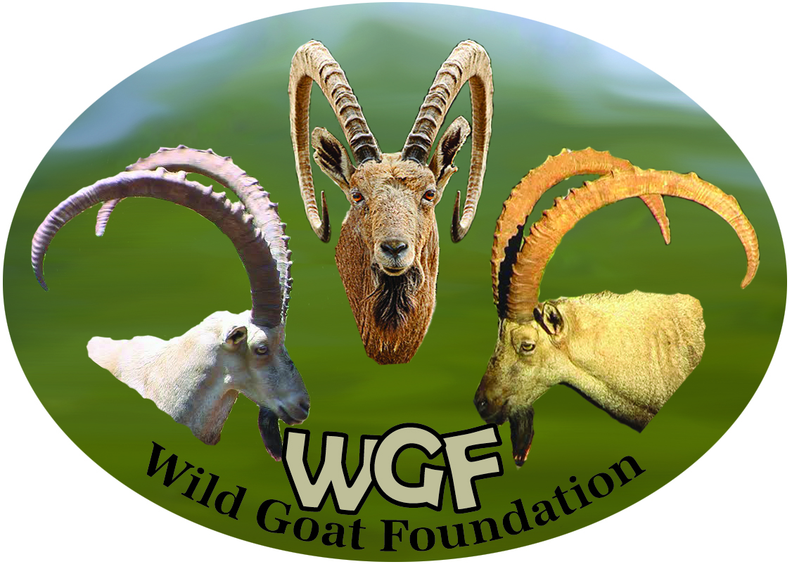 Logo Design by jocancre8 for Wild Goat Foundation | Design #3341819