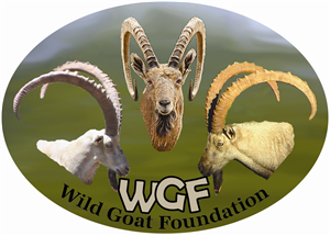 Design de Logo par jocancre8 pour Wild Goat Foundation | Design #3341819
