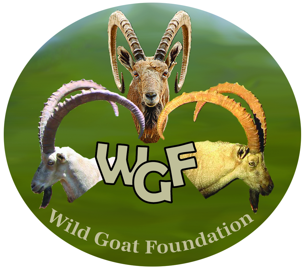 Logo Design by jocancre8 for Wild Goat Foundation | Design #3341827