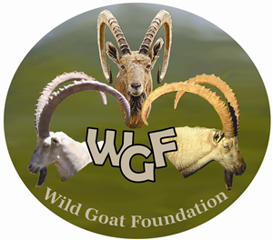 Design de Logo par jocancre8 pour Wild Goat Foundation | Design : #3341827