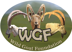 Design de Logo par jocancre8 pour Wild Goat Foundation | Design : #3341836