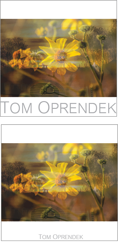 CD Cover Design by Mannyp25 for this project | Design #3341256