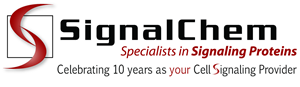 Logo Design by Matt Sharp