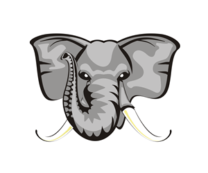 Graphic Design by DesignDroid