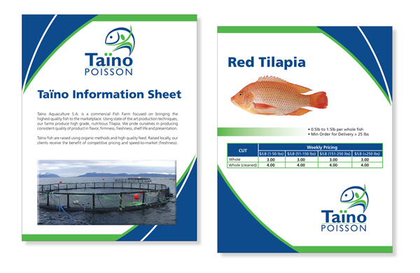 Brochure Design by Patrick Tero for this project | Design: #835345
