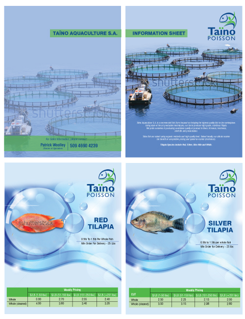Brochure Design by avi's for this project | Design #826983