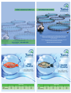 Brochure Design by avi's for this project | Design: #826983