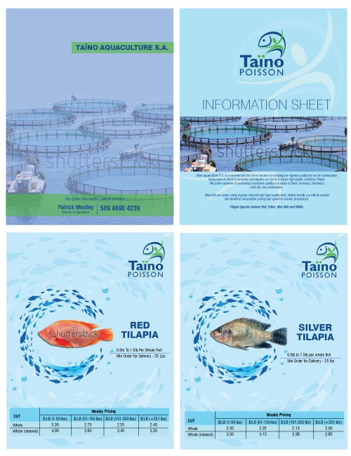 Brochure Design by avi's for this project | Design #826985