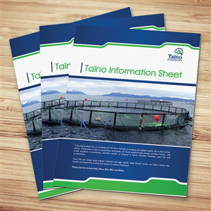 Brochure Design by georgy55ke for this project | Design: #837990