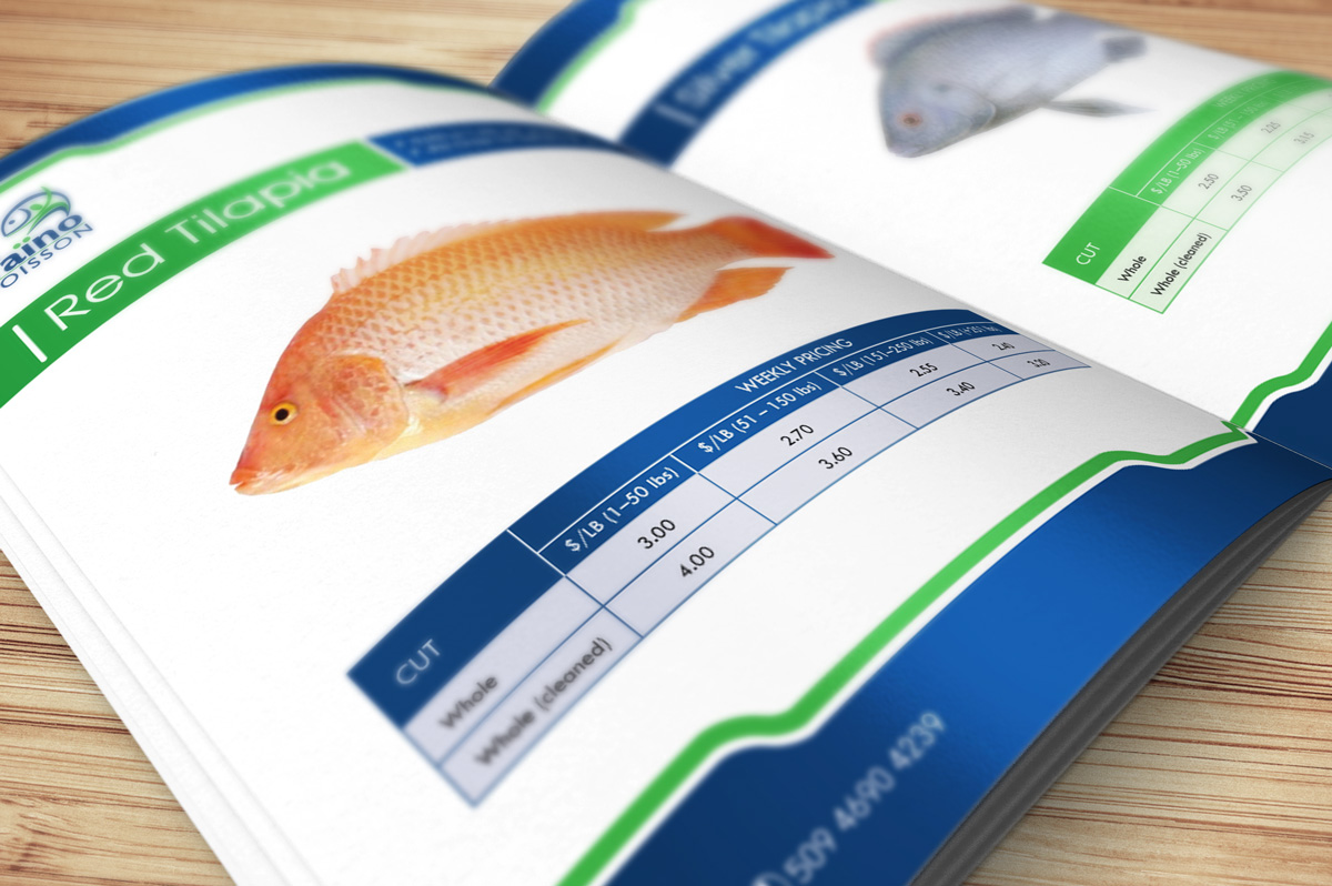 Brochure Design by georgy55ke for this project | Design #838000
