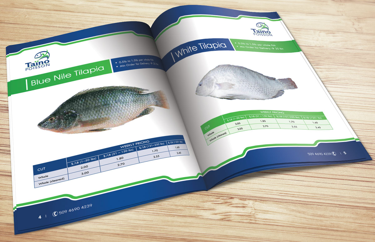 Brochure Design by georgy55ke for this project | Design #838249