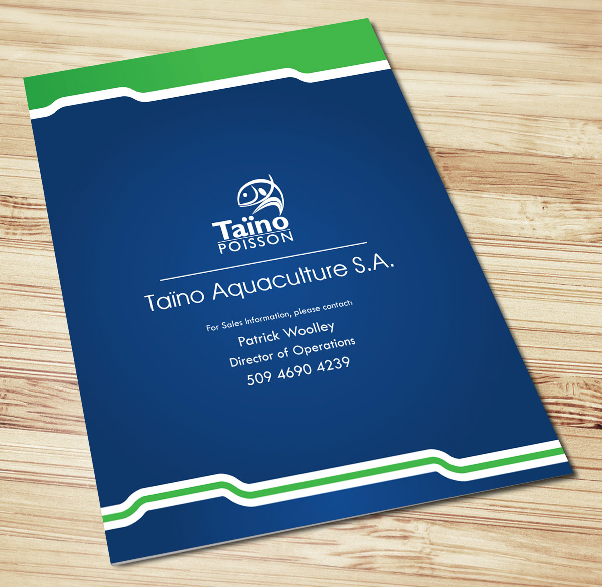 Brochure Design by georgy55ke for this project | Design #838268