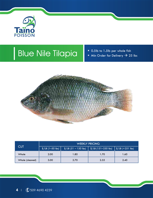 Brochure Design by georgy55ke for this project | Design: #838272