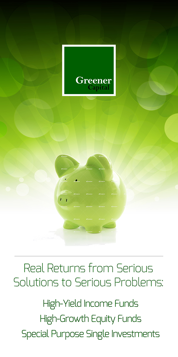 Banner Ad Design by Fuxxo Works for Greener Capital | Design #838769