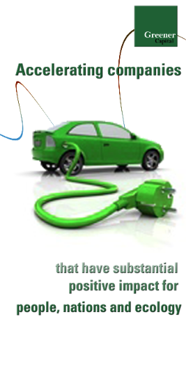 Banner Ad Design by Elevated-Design for Greener Capital | Design #850127