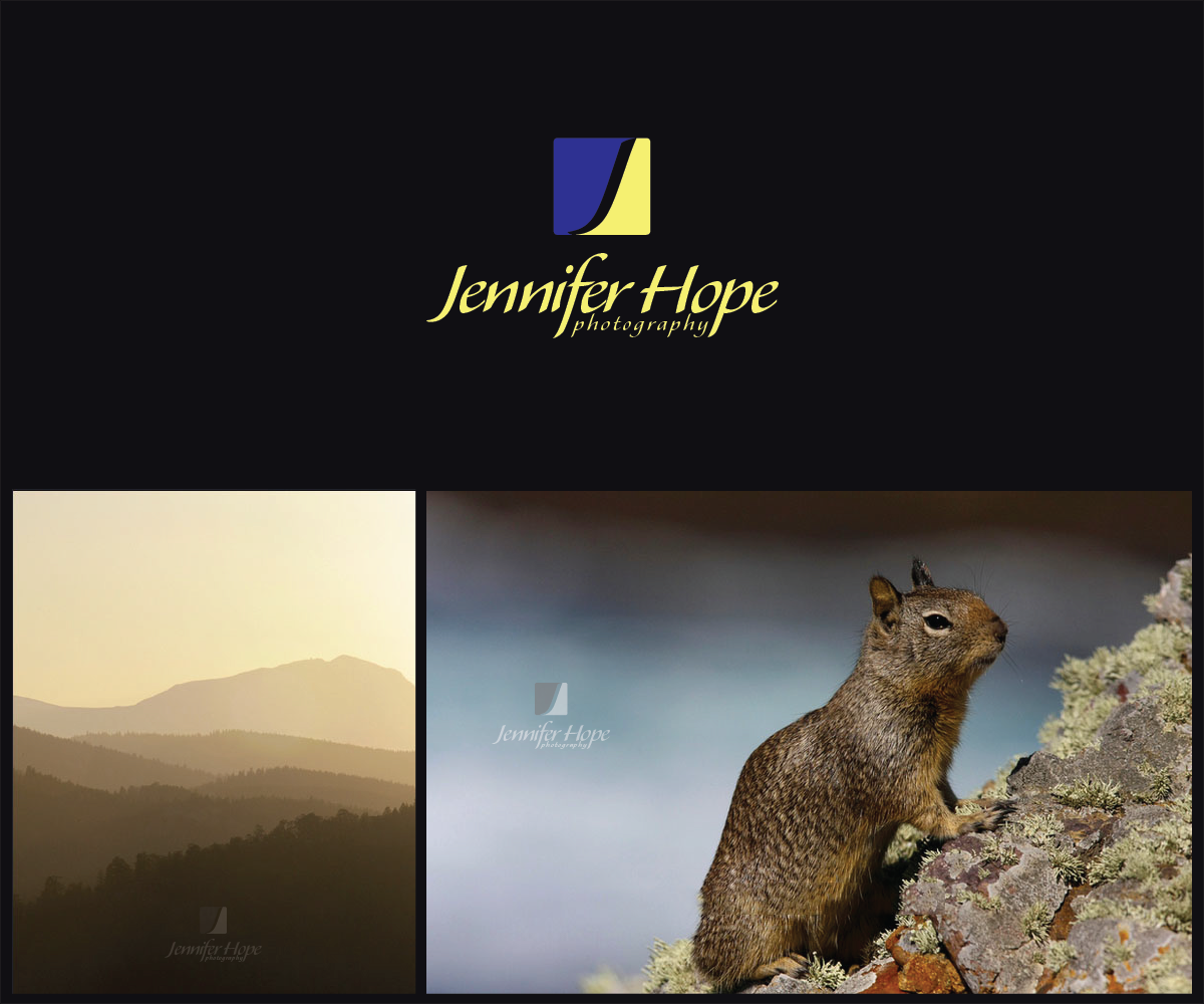 Logo-Design von Radu Borzea für dieses Projekt | Design #3327275