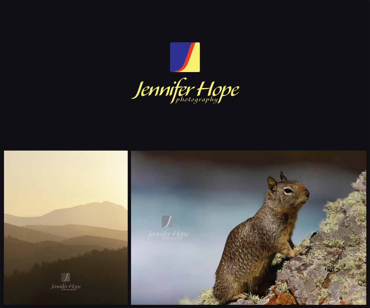 Logo Design by Radu Borzea for this project | Design #3334458